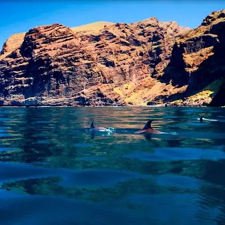 Modern In Americas, Lk520 With Pool Close To The Ocean Apartamento Playa de las Americas (Tenerife)